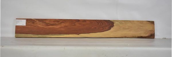 PAUFER1140_1