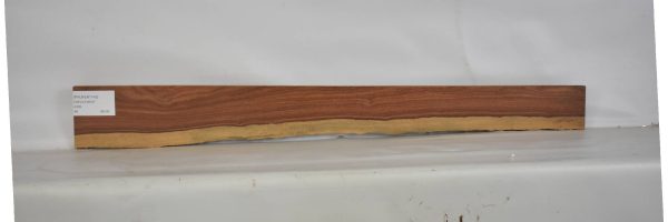 PAUFER1142_2