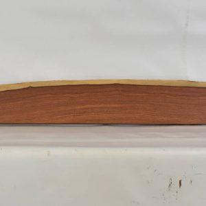 PAUFER1146_1