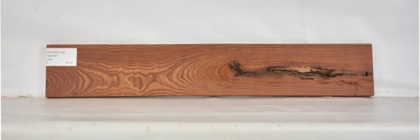 PAUFER1158_1