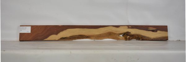 PAUFER1163_1