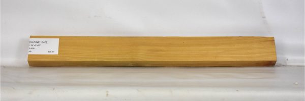 SATINEI1140_1