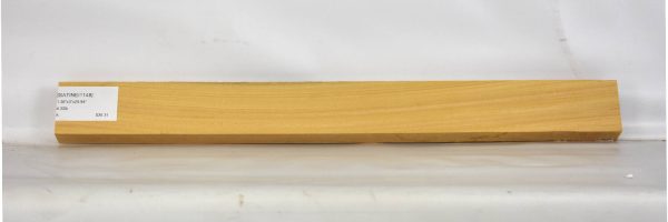 SATINEI1148_1