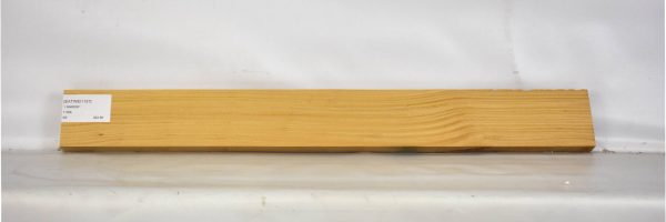 SATINEI1157_1