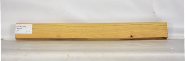 SATINEI1160_2
