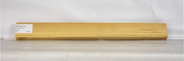 SATINEI1161_1