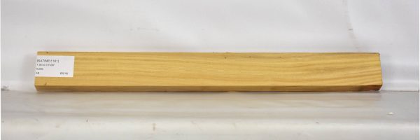 SATINEI1161_2