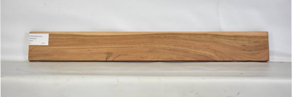 TEAKZAM1243_1