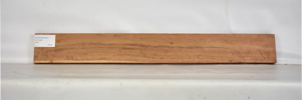 TEAKZAM1267_2