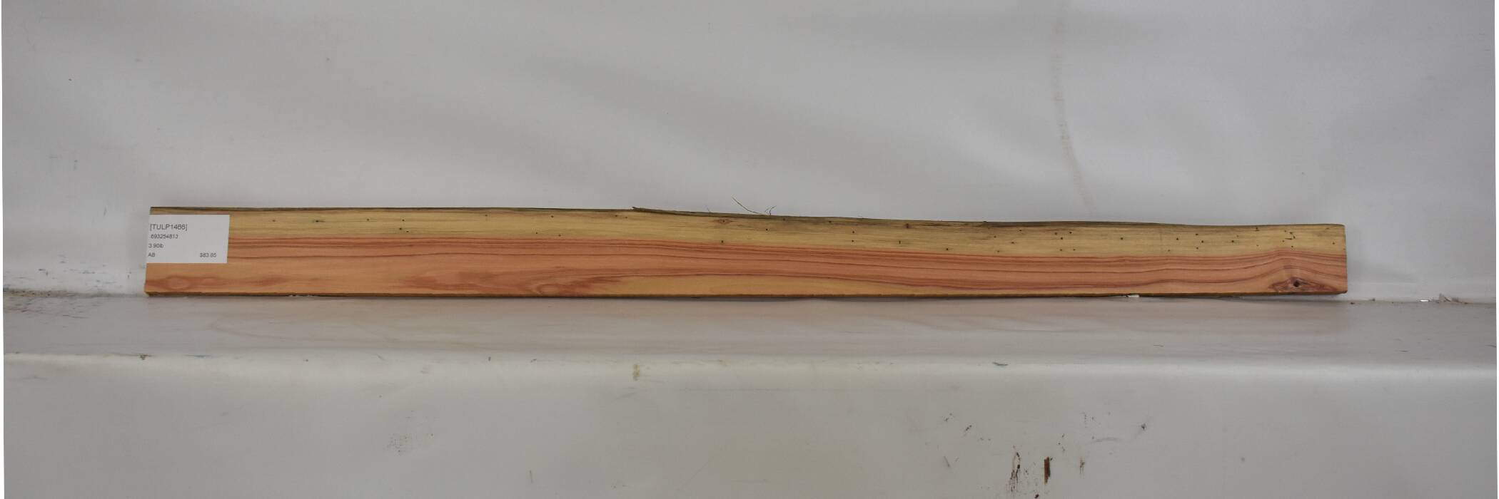 Tulipwood 2 TULP1466_2