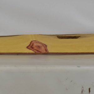 TULP1469_1