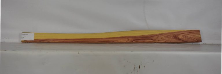 TULP1475_1