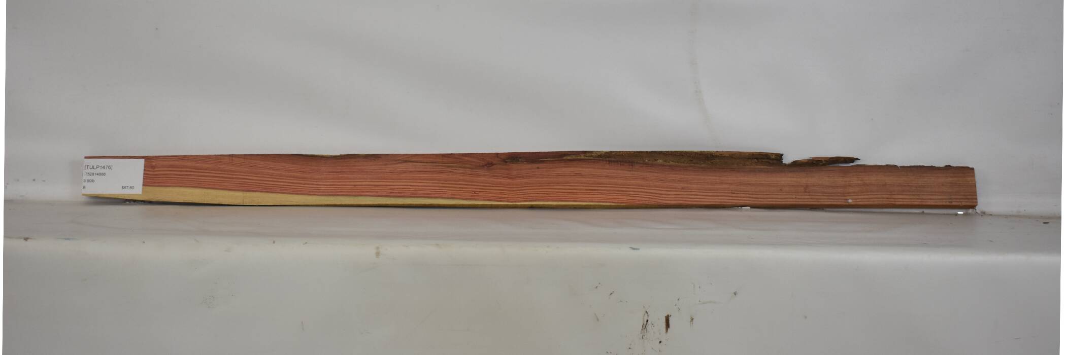 Tulipwood 2 TULP1476_2