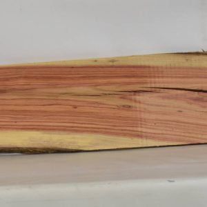 TULP1480_1