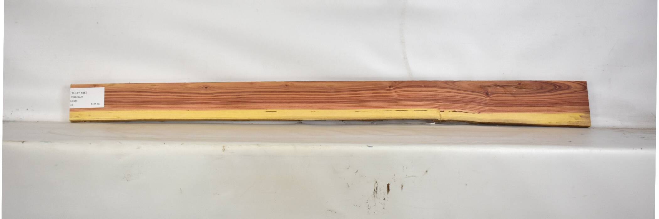 Tulipwood 1 TULP1485_1