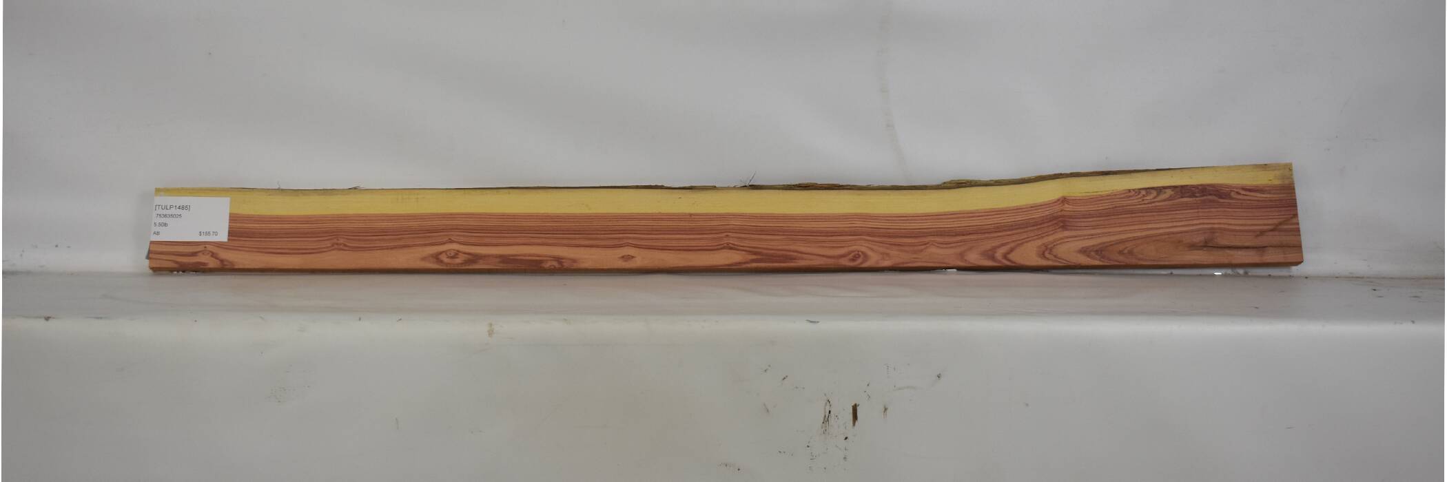 Tulipwood 2 TULP1485_2