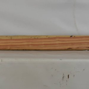 TULP1487_1