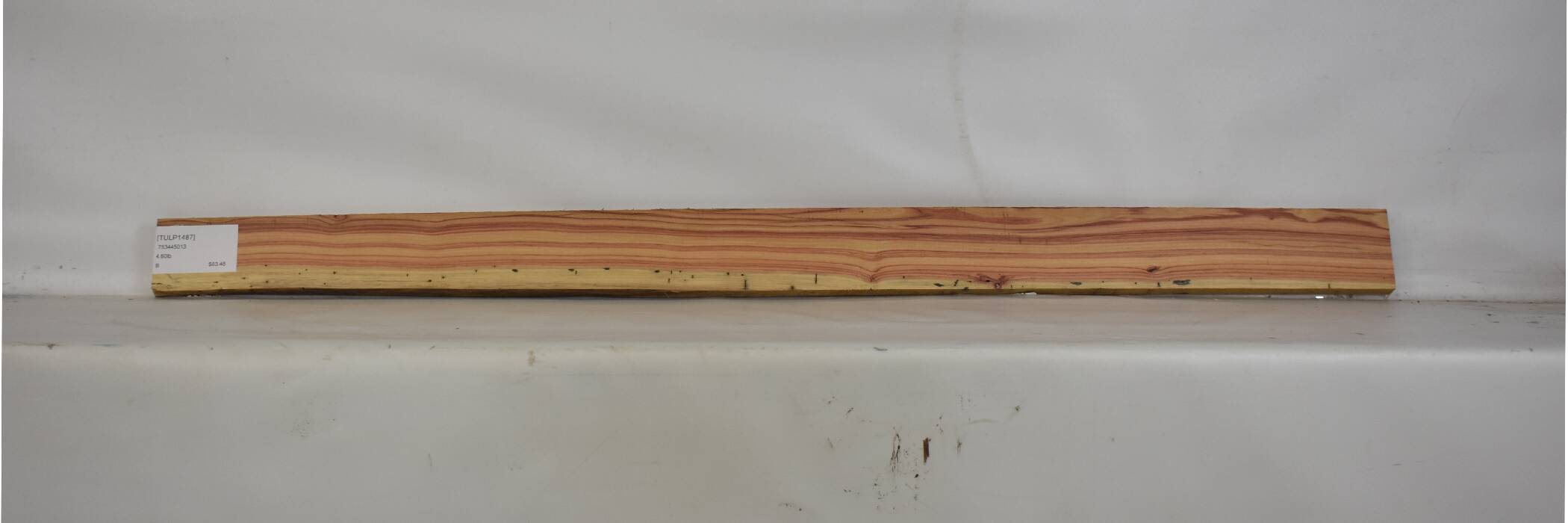 Tulipwood 2 TULP1487_2