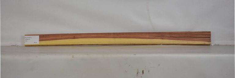 TULP1491_1