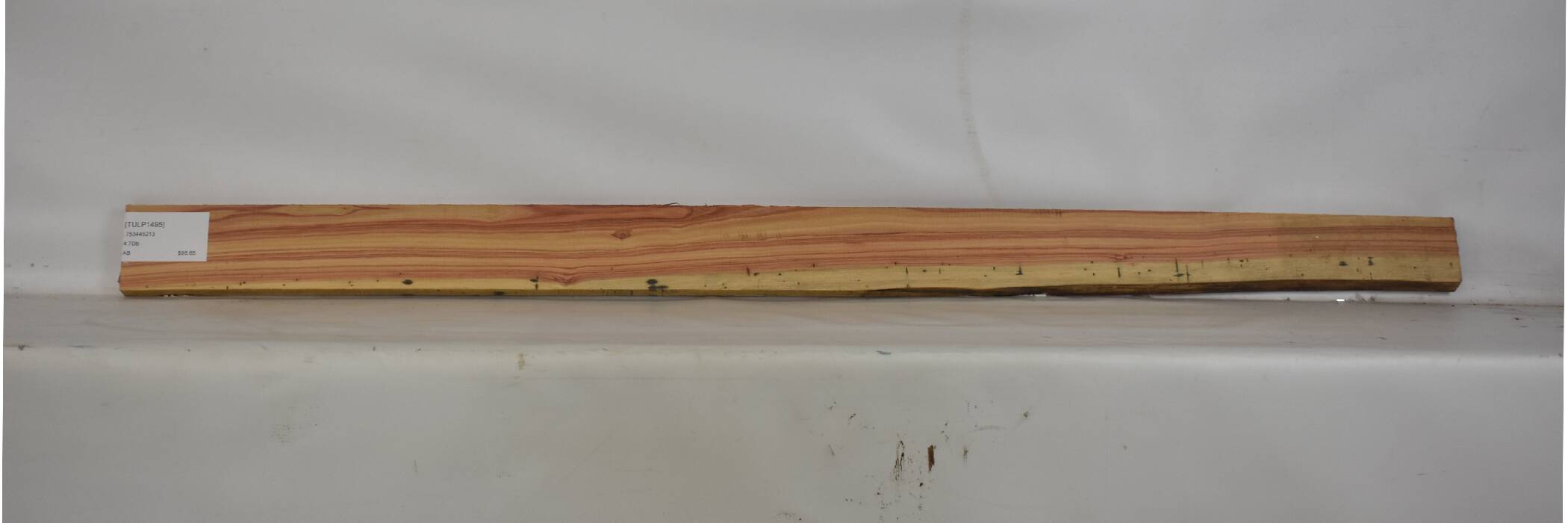 Tulipwood 2 TULP1495_2