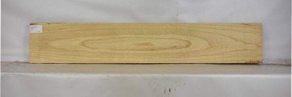 ASHSW1034_2