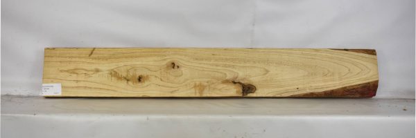 ASHSW1039_2