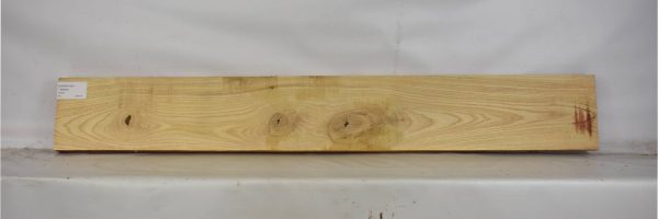 ASHSW1041_2