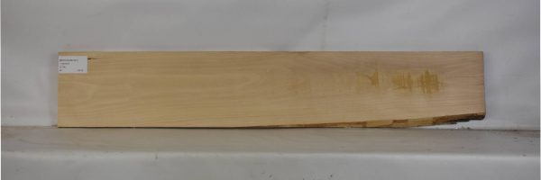 BEECHAM1081_2