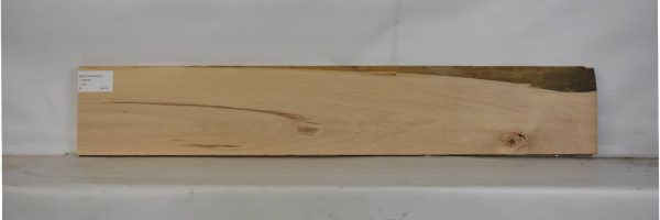 BEECHAM1083_2