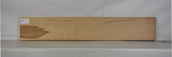 BEECHAM1084_2