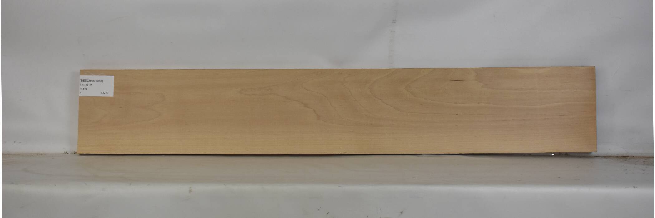 Beech - American 2 BEECHAM1088_2