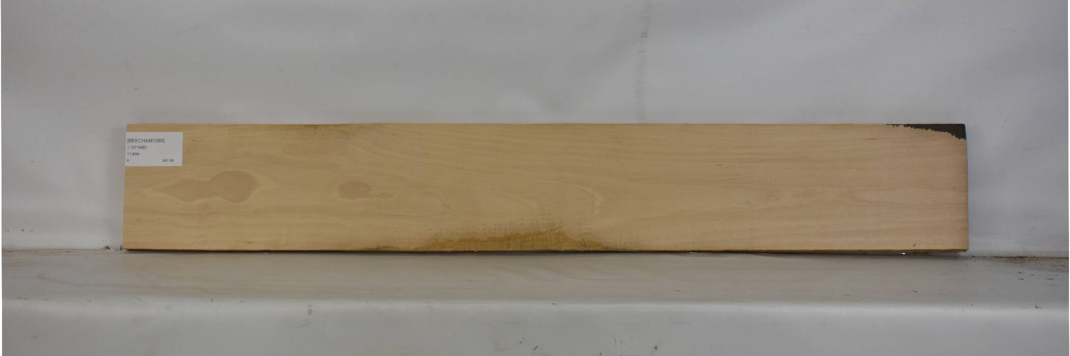 Beech - American 2 BEECHAM1089_2