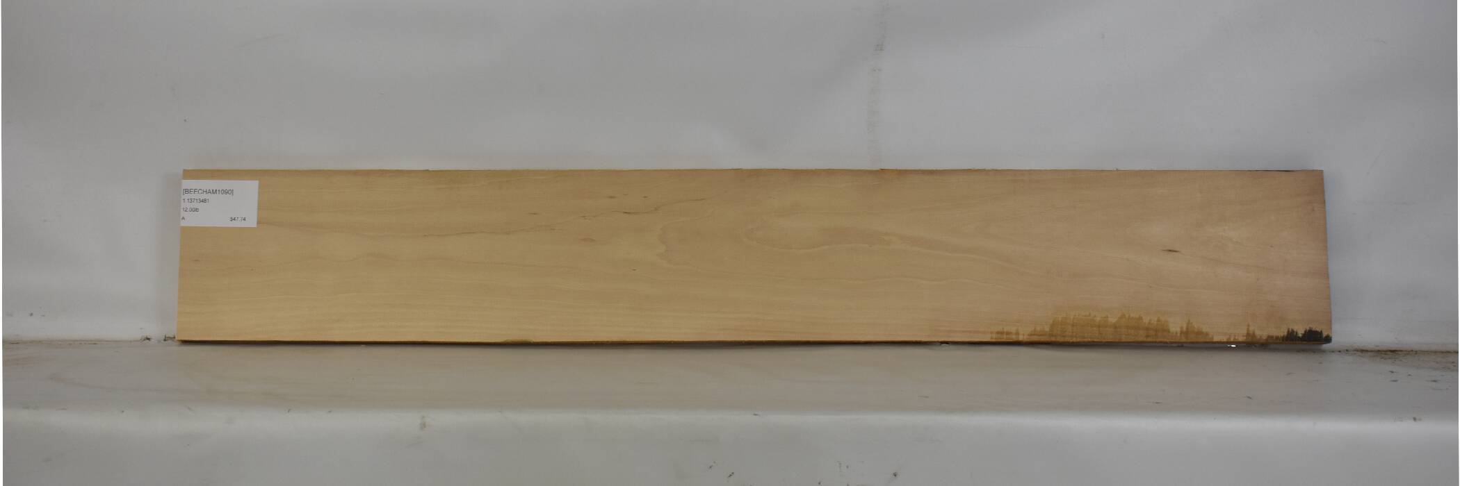 Beech - American 2 BEECHAM1090_2