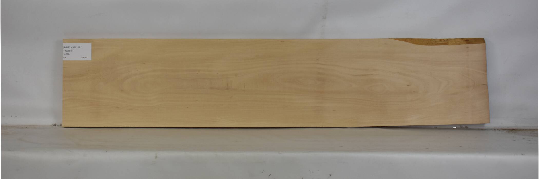 Beech - American 2 BEECHAM1091_2