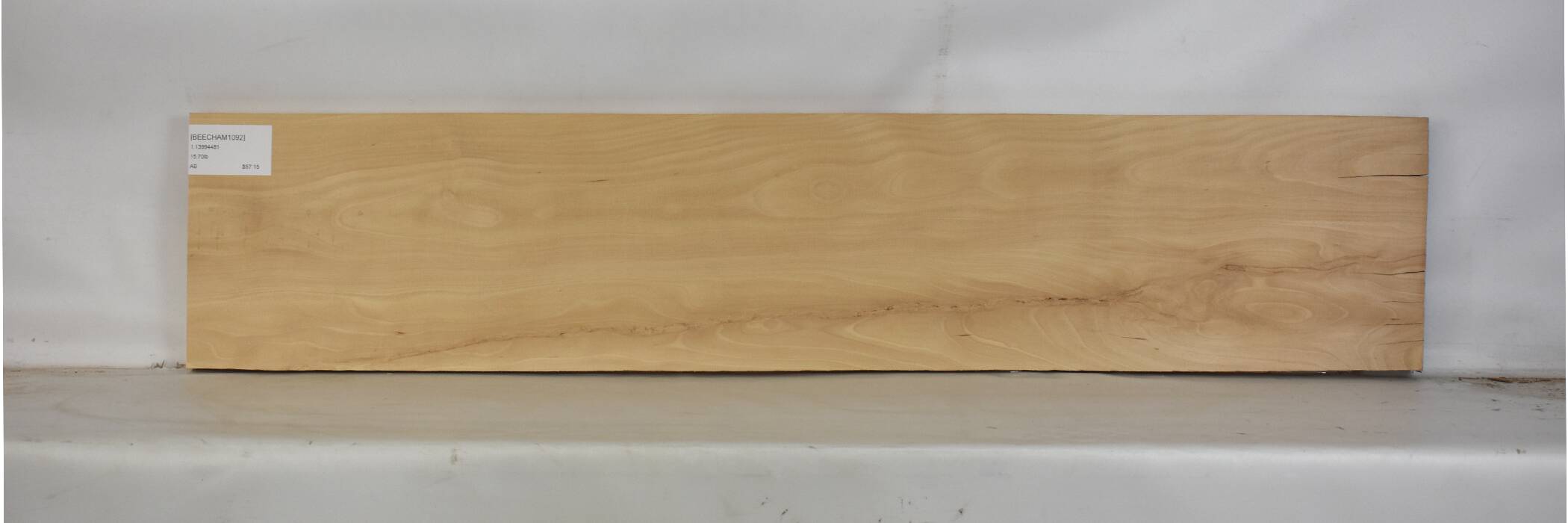 Beech - American 2 BEECHAM1092_2