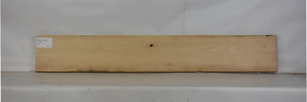 BEECHAM1093_2