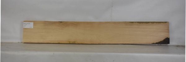 BEECHAM1094_2