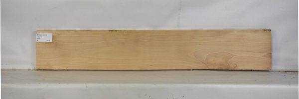 BEECHAM1095_2