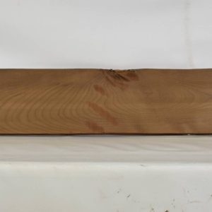 BIRFLR1189_1