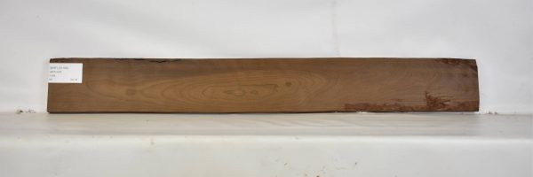 BIRFLR1190_2