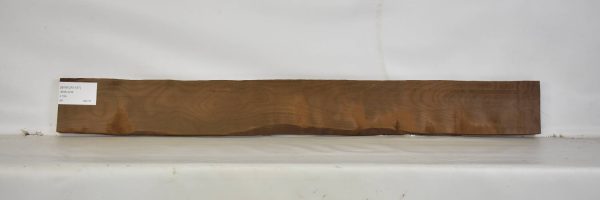 BIRFLR1197_2