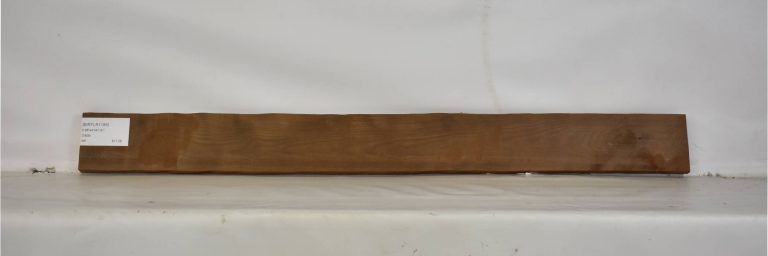 BIRFLR1199_1