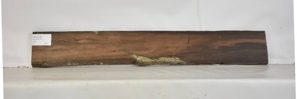 EBAM1166_2