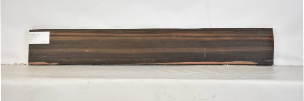 EBAM1174_1