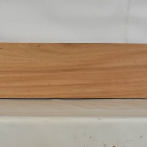 GONC1123_1