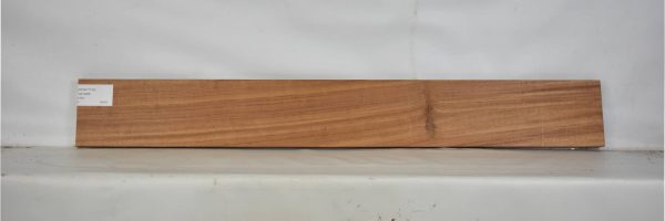 GONC1130_1