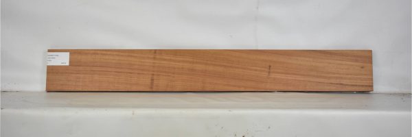 GONC1130_2