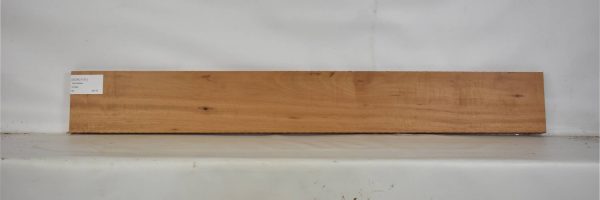 GONC1131_2