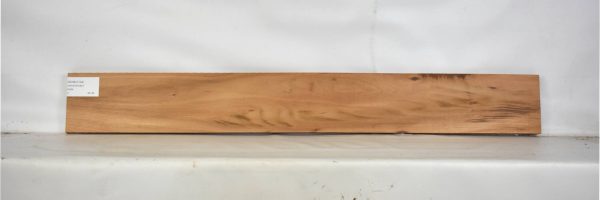 GONC1134_2