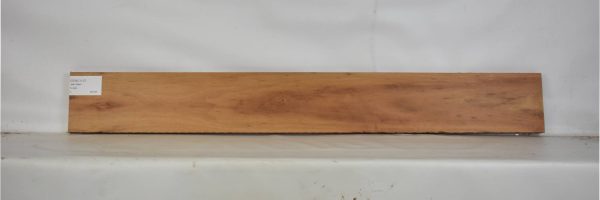 GONC1137_1